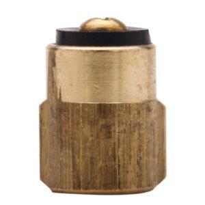RH COLD BRASS PLUNGER KOHLER NOLEAD
