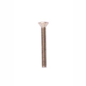 STAINLESS STEEL OVAL HEAD SCREW, POLISHED BRASS