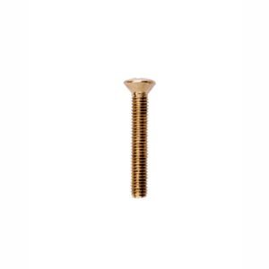 STAINLESS STEEL OVAL HEAD SCREW, POLISHED BRASS