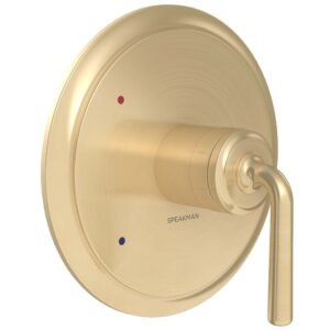 DUO SHOWER VALVE TRIM, BBZ