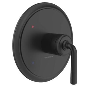 DUO SHOWER VALVE TRIM, MB