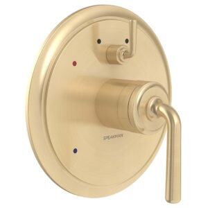DUO DIVERTER SHOWER VALVE TRIM, BBZ