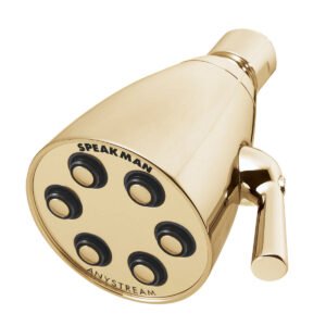 6-JET BRASS SHOWERHEAD - PB BP