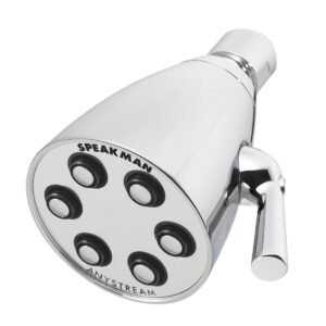6-JET BRASS SHOWERHEAD - PN BP