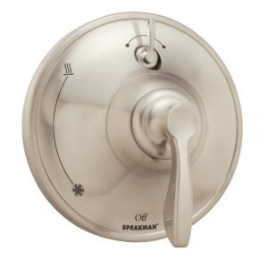 DIV SHWR VALVE & TRIM LEVER BN
