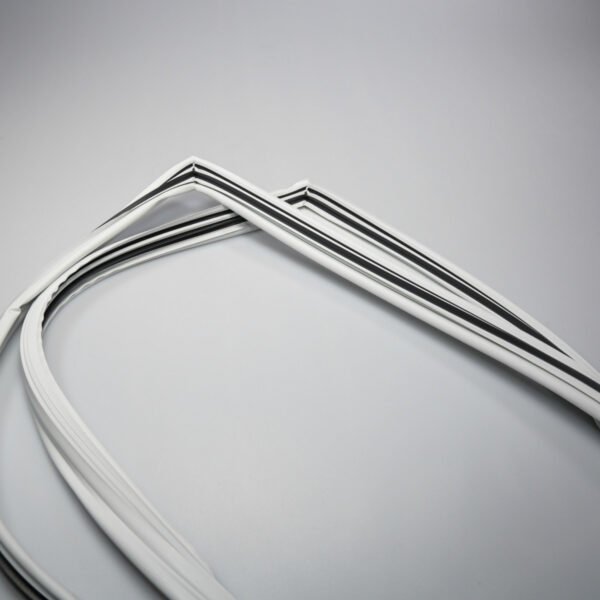 GASKET DOOR FF