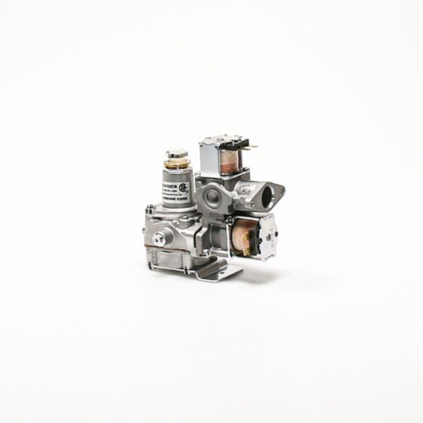 VALVE ASSEMBLY,GAS