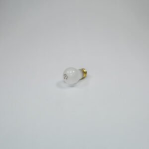 40 WATT APPLIANCE BULB