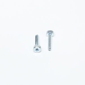 SCREW-TORX